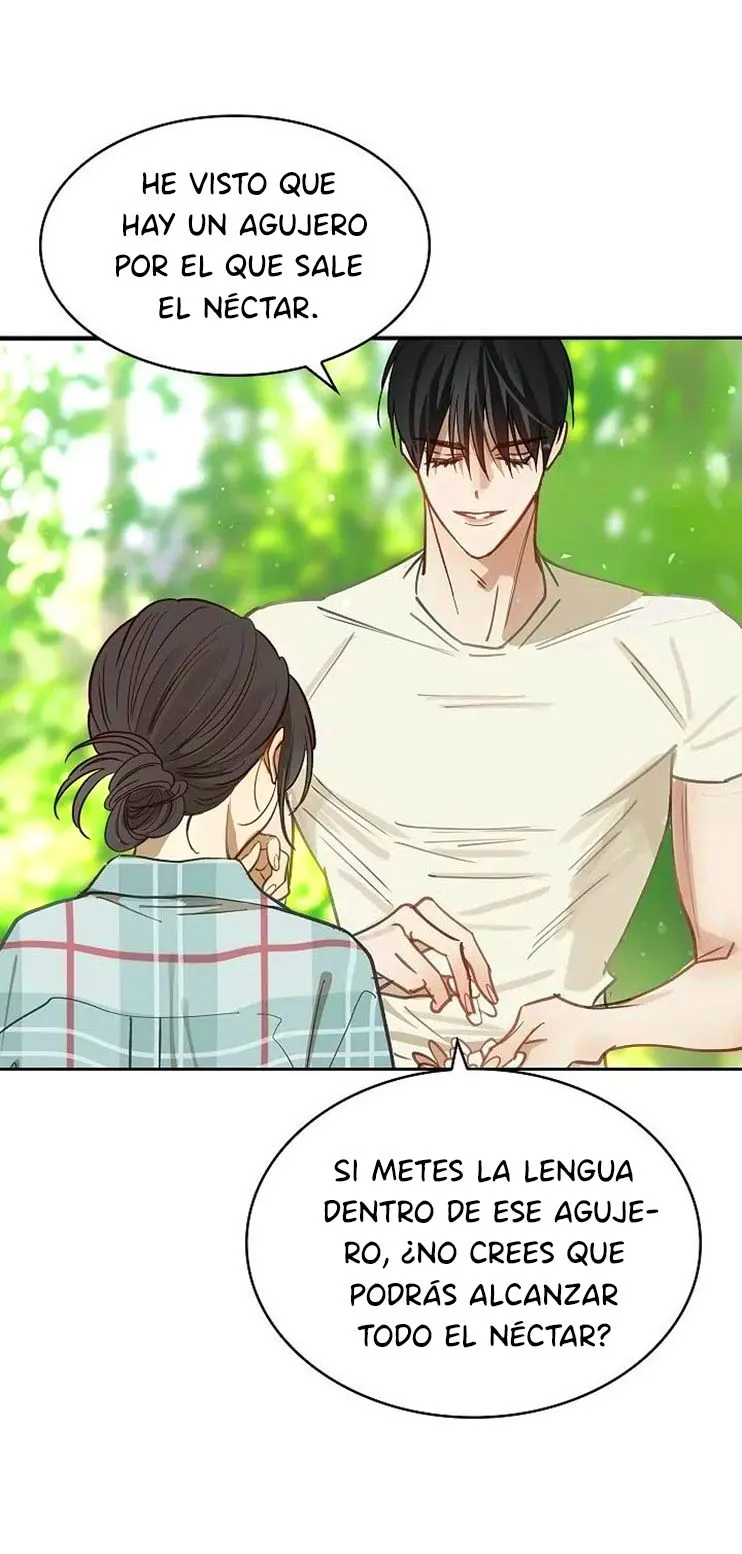 60 Las Flores son un Engaño