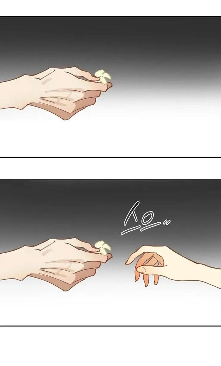 65 Las Flores son un Engaño