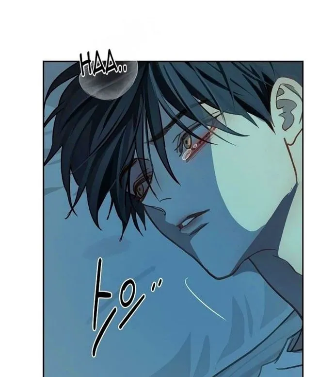 46 Las Flores son un Engaño