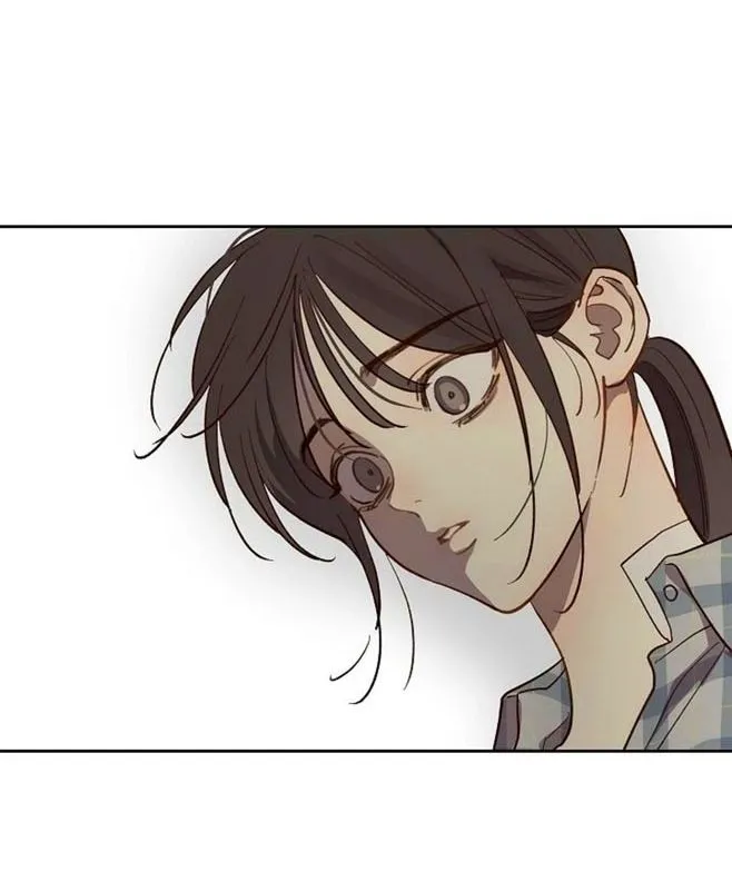 13 Las Flores son un Engaño