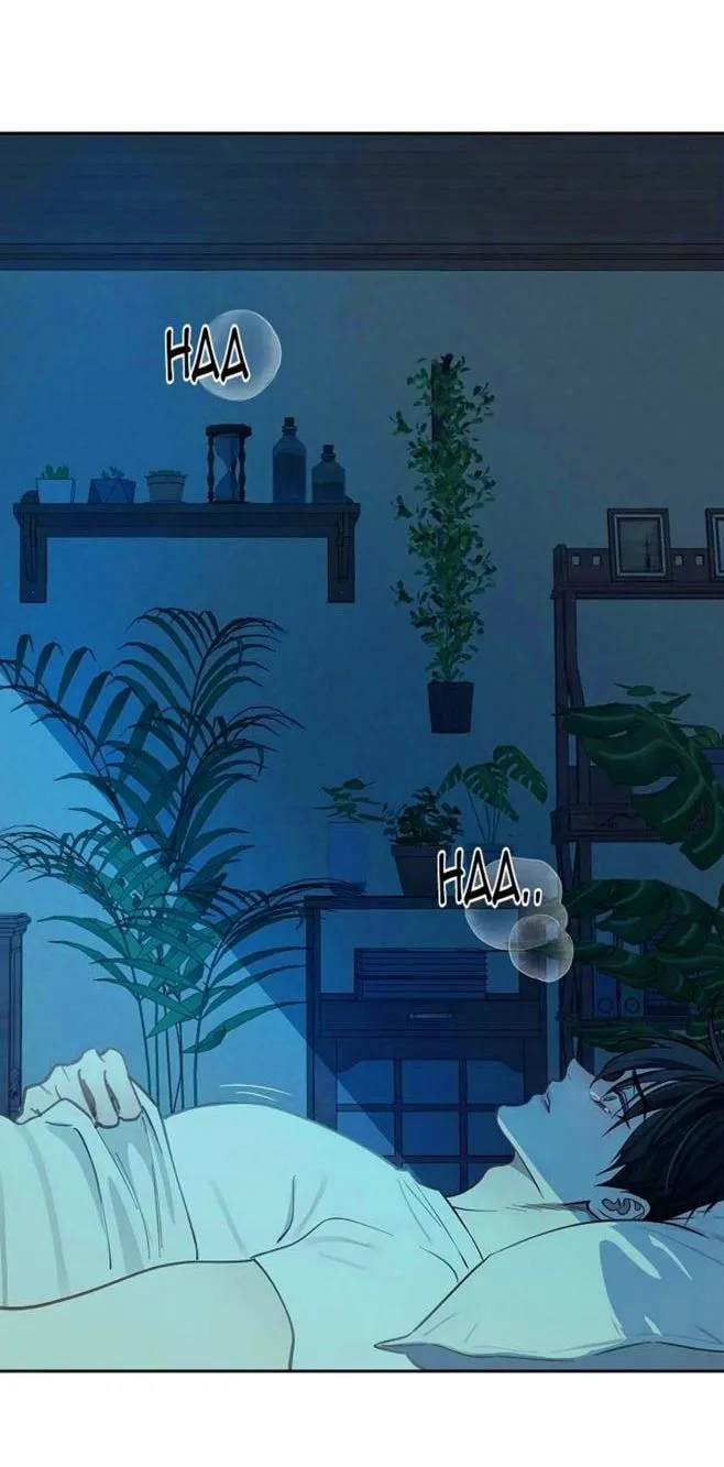 45 Las Flores son un Engaño