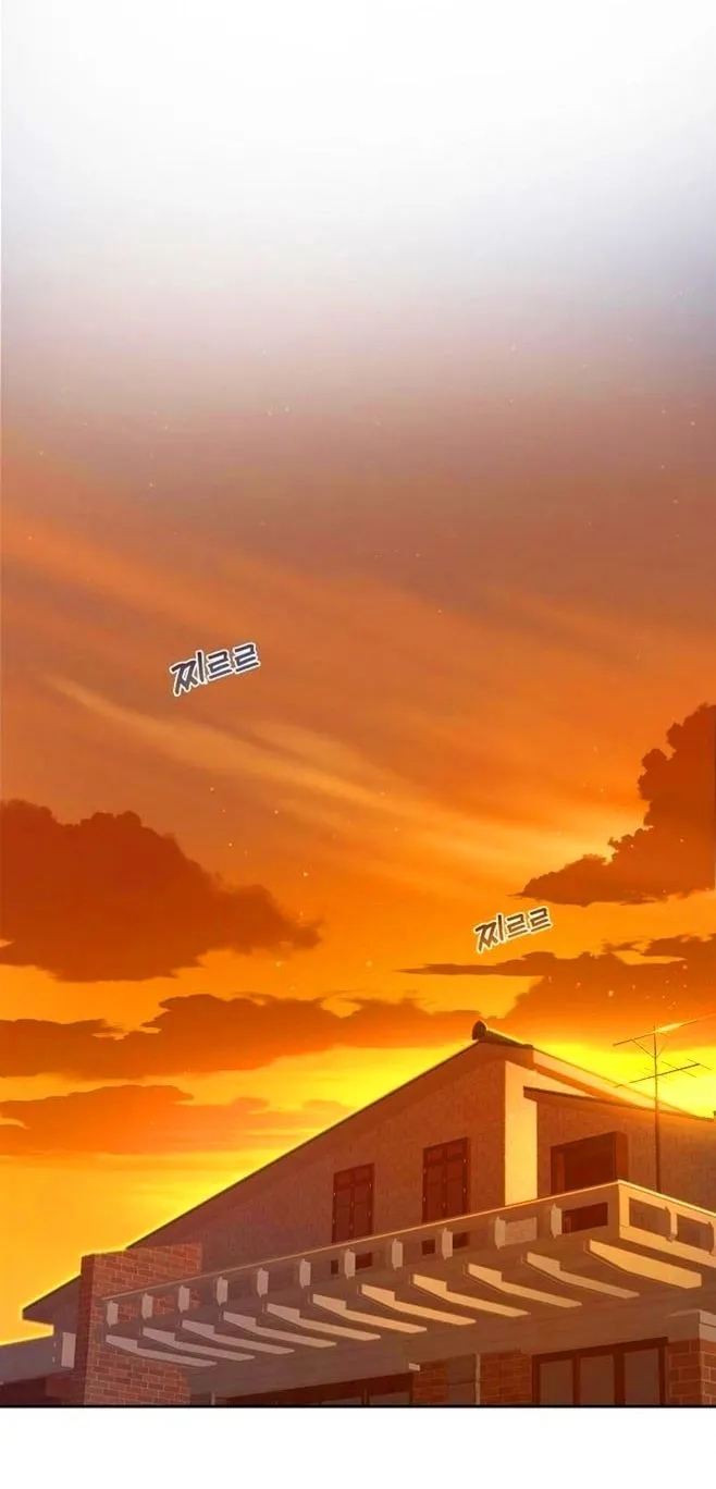 16 Las Flores son un Engaño