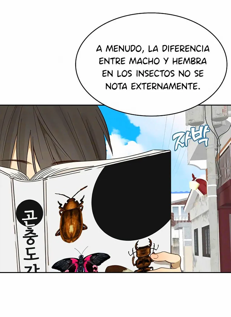 17 Las Flores son un Engaño