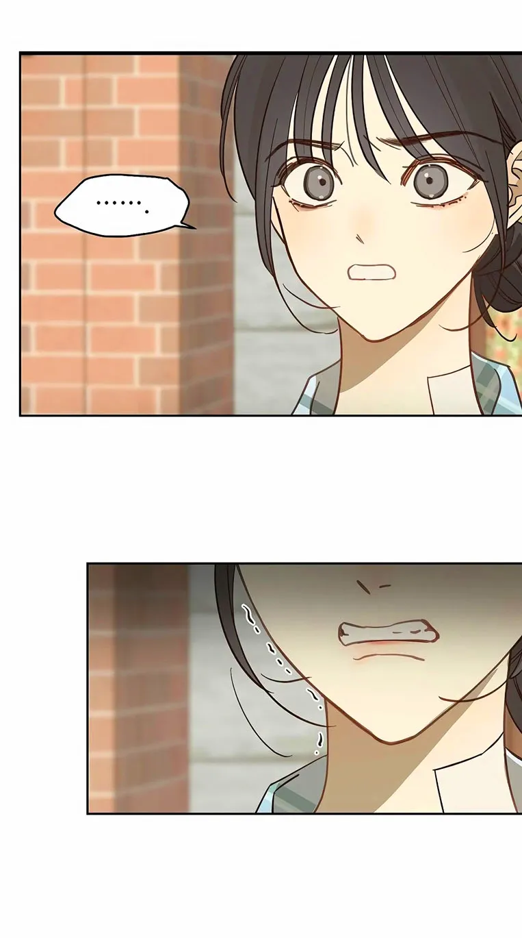 48 Las Flores son un Engaño