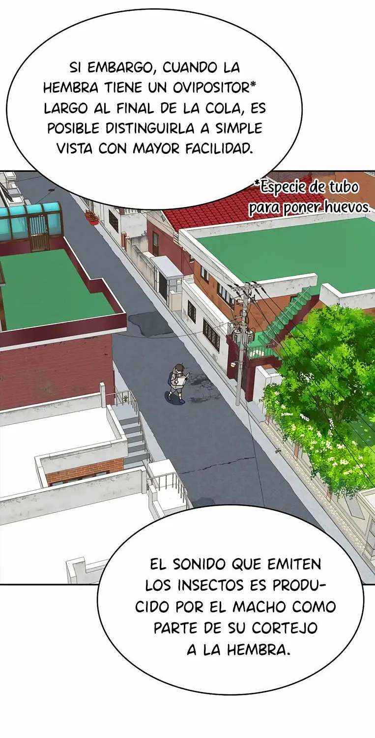 18 Las Flores son un Engaño