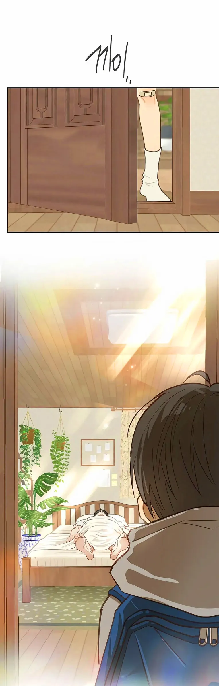 30 Las Flores son un Engaño