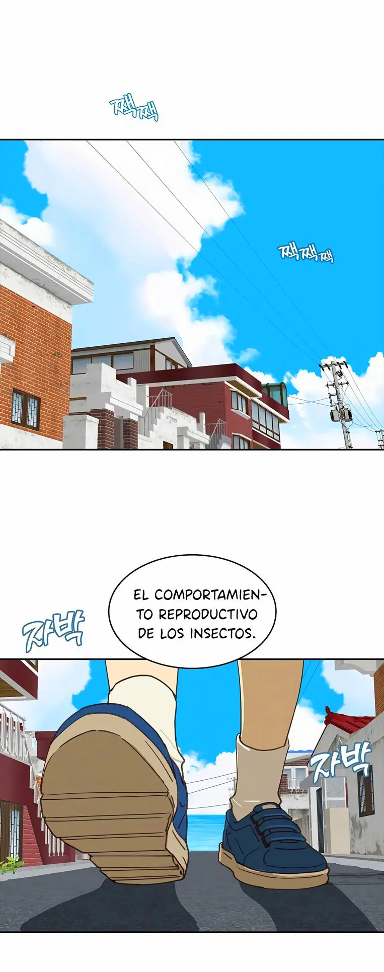 16 Las Flores son un Engaño