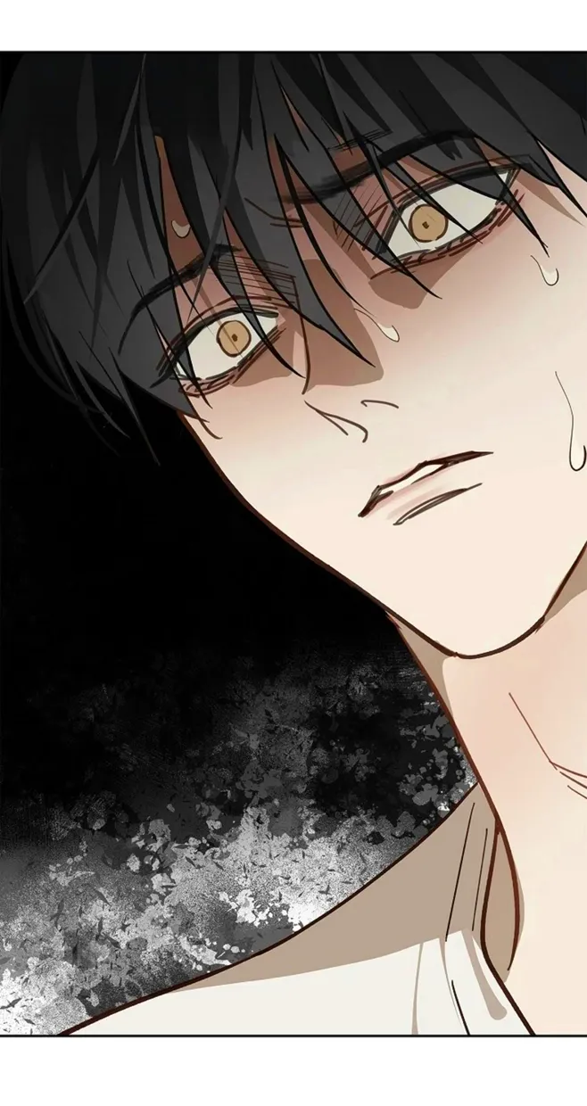 64 Las Flores son un Engaño