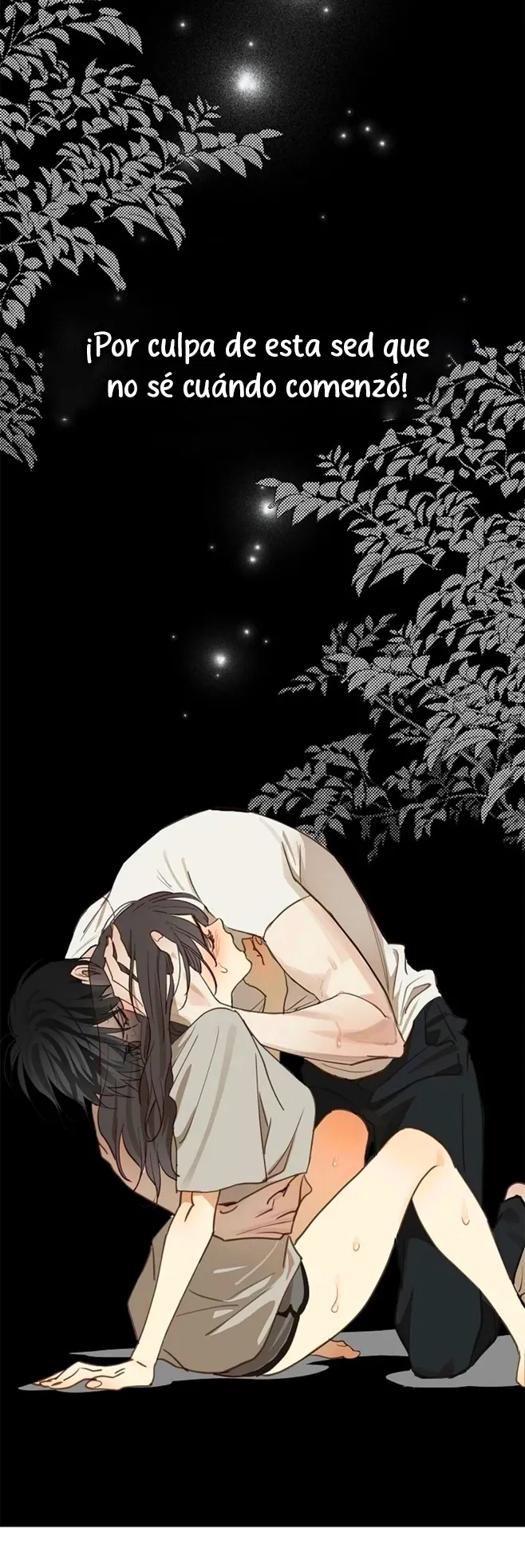 52 Las Flores son un Engaño