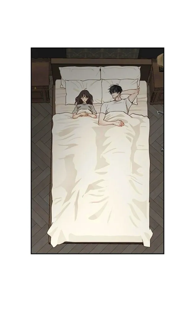 27 Las Flores son un Engaño