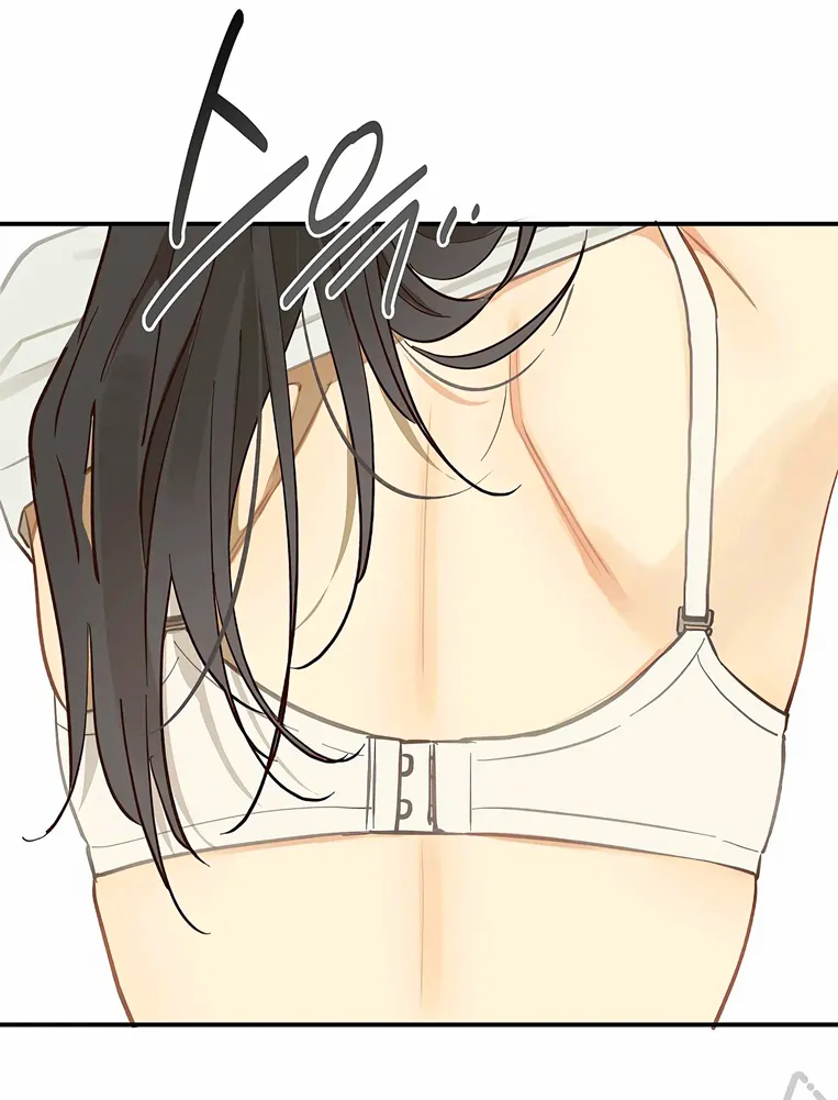 21 Las Flores son un Engaño