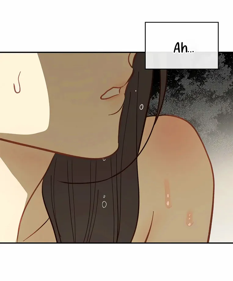 52 Las Flores son un Engaño