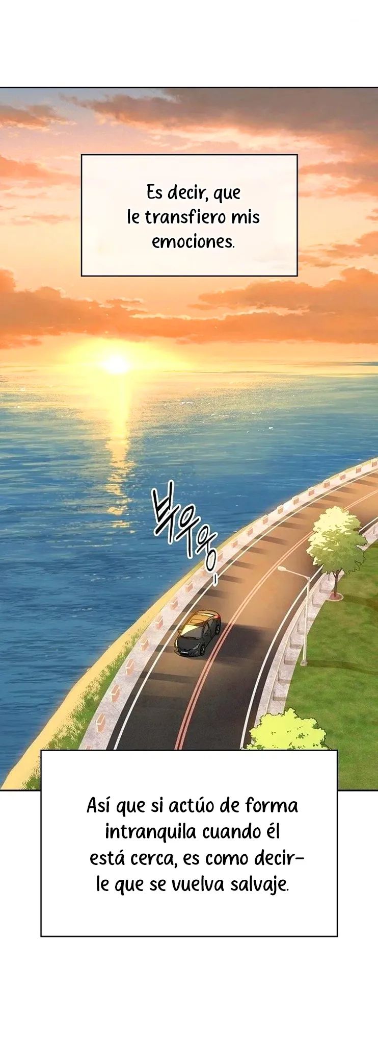 52 Las Flores son un Engaño