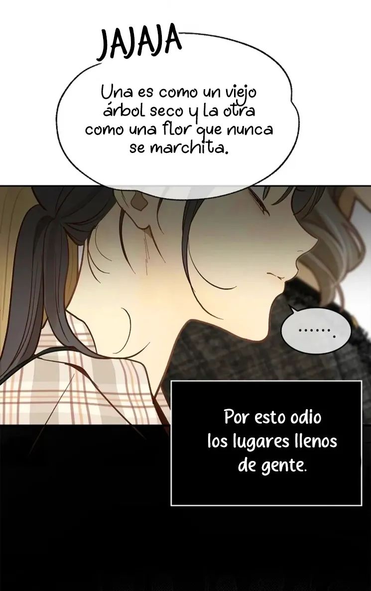 6 Las Flores son un Engaño