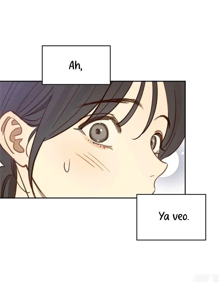 26 Las Flores son un Engaño