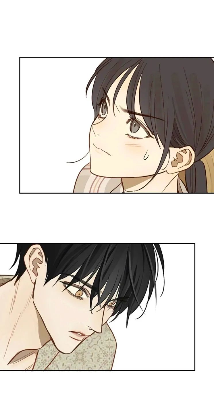 16 Las Flores son un Engaño