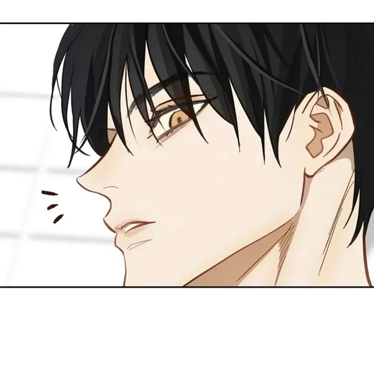 28 Las Flores son un Engaño