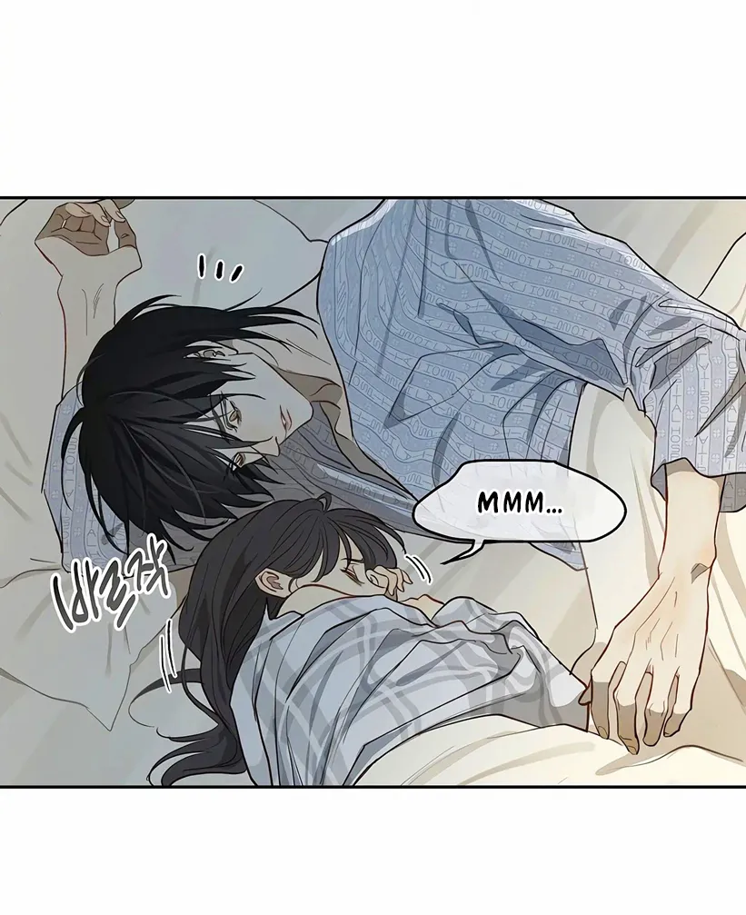 20 Las Flores son un Engaño