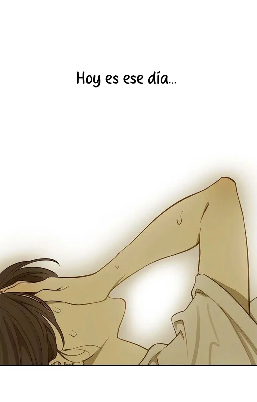 12 Las Flores son un Engaño