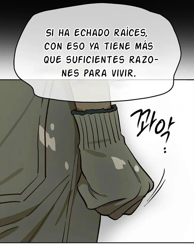 38 Las Flores son un Engaño