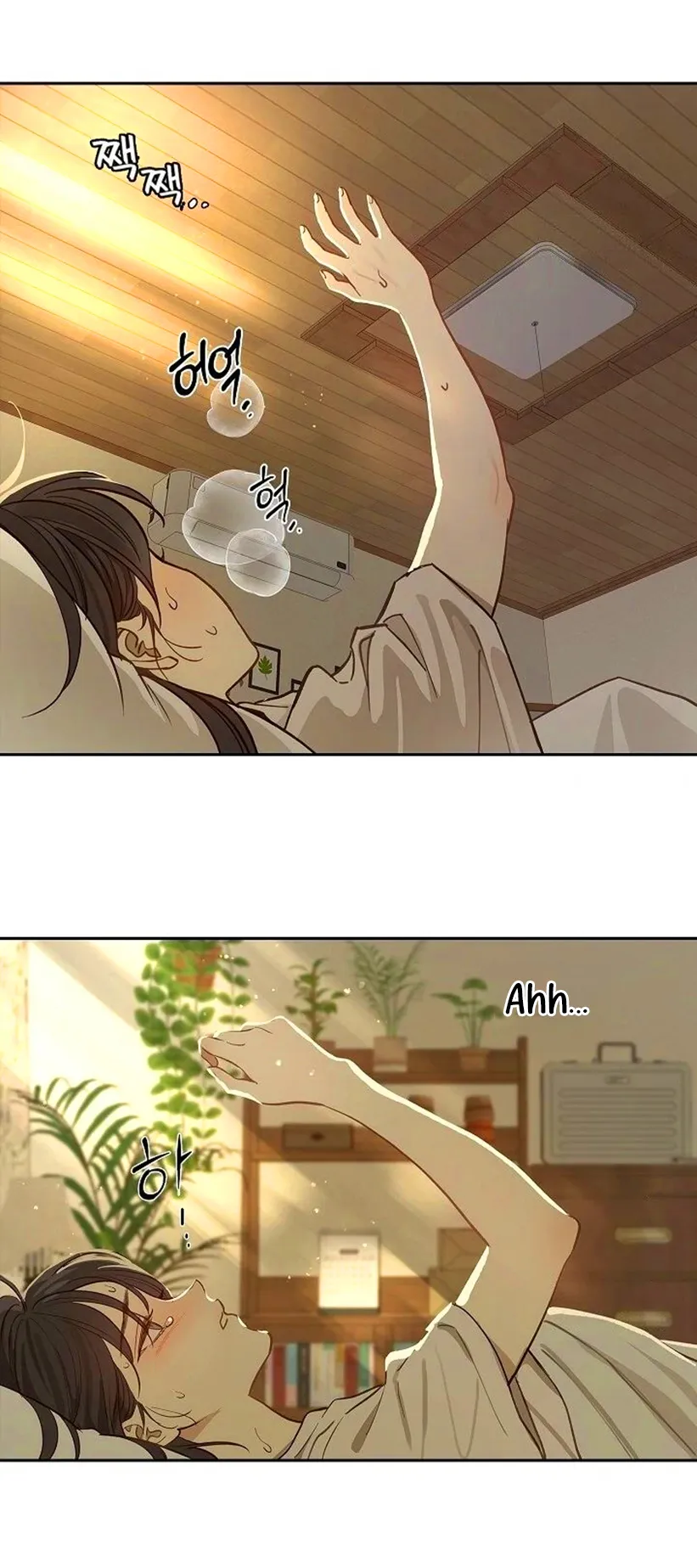 11 Las Flores son un Engaño