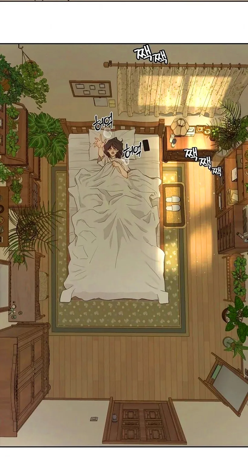 10 Las Flores son un Engaño