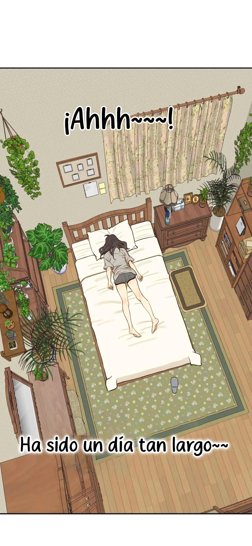 4 Las Flores son un Engaño