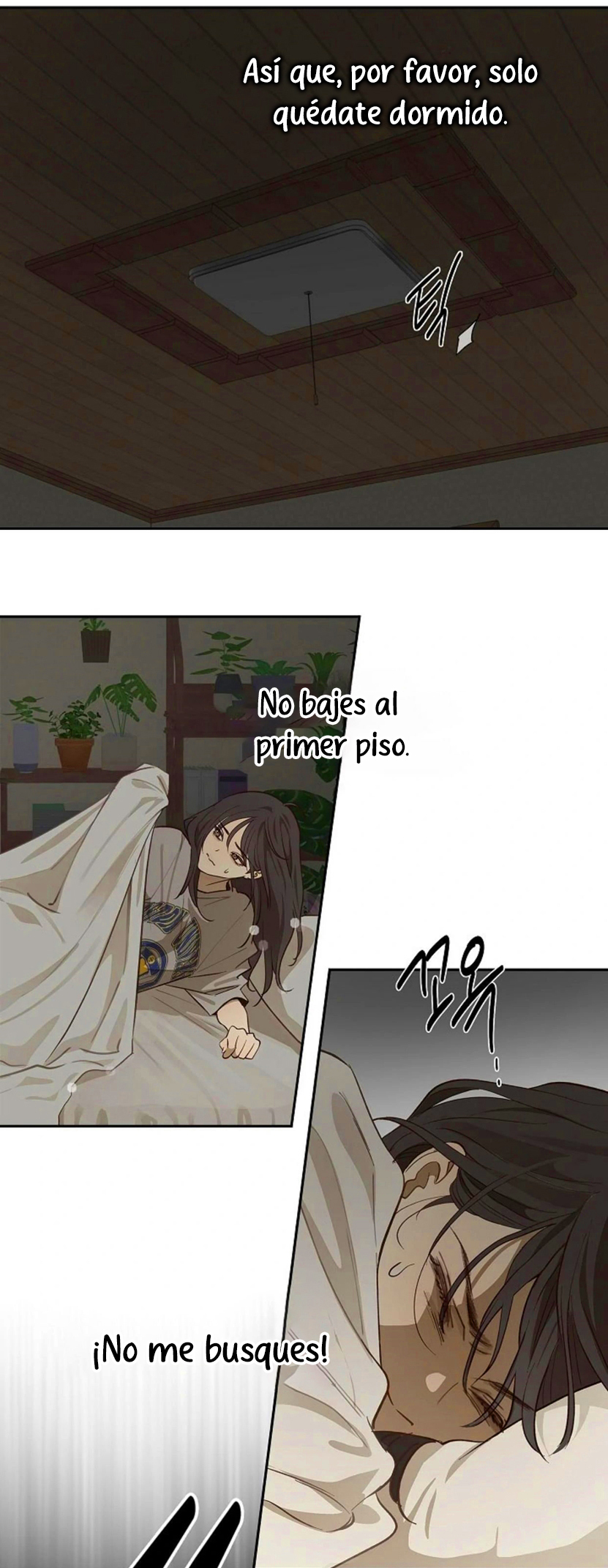 19 Las Flores son un Engaño