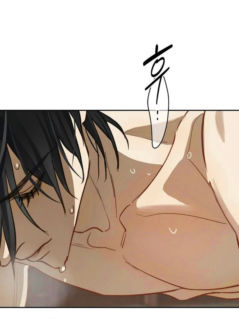 13 Las Flores son un Engaño