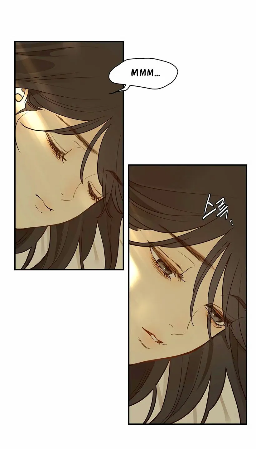 4 Las Flores son un Engaño