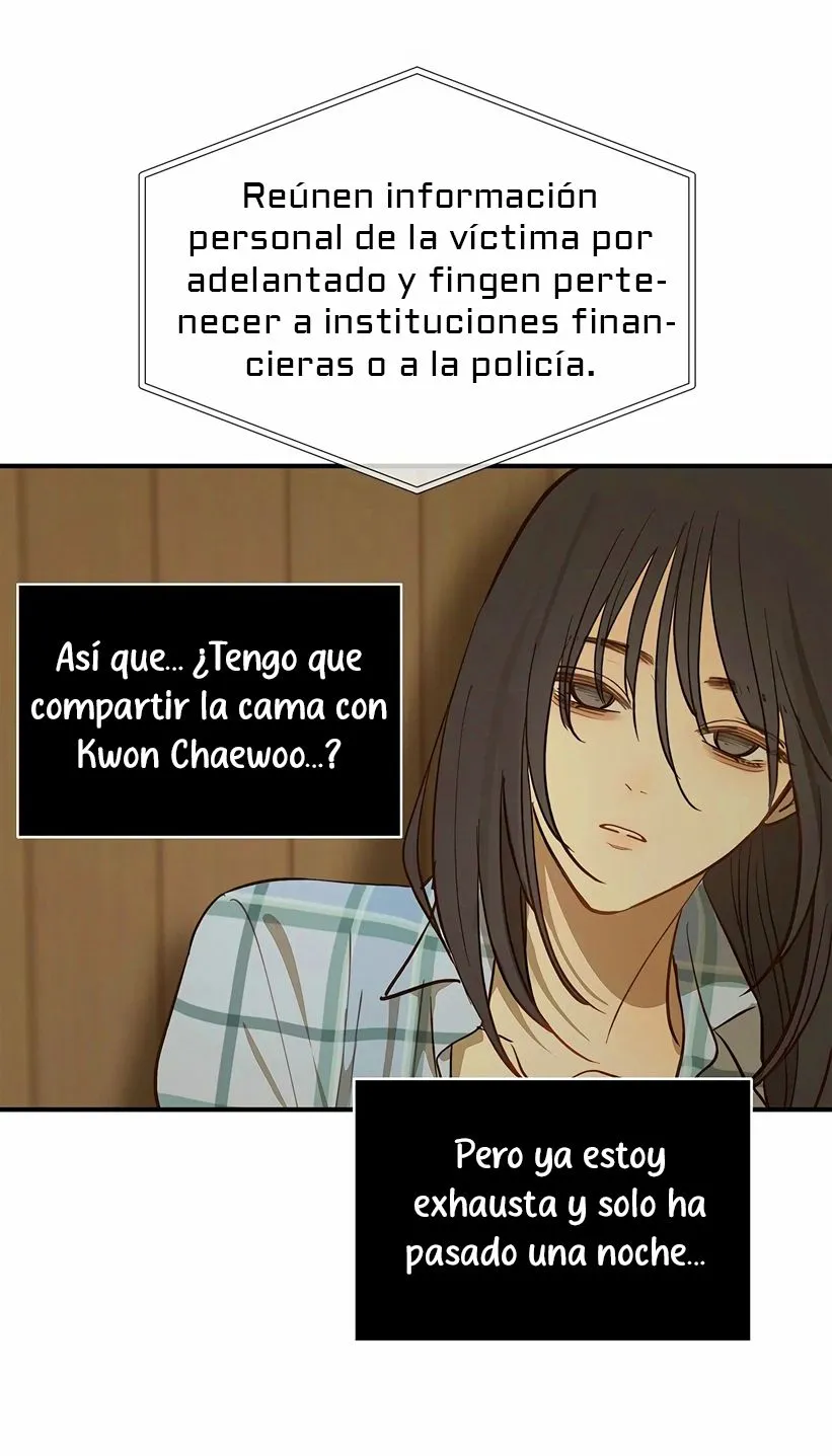 24 Las Flores son un Engaño