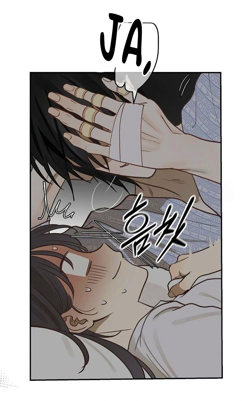 54 Las Flores son un Engaño