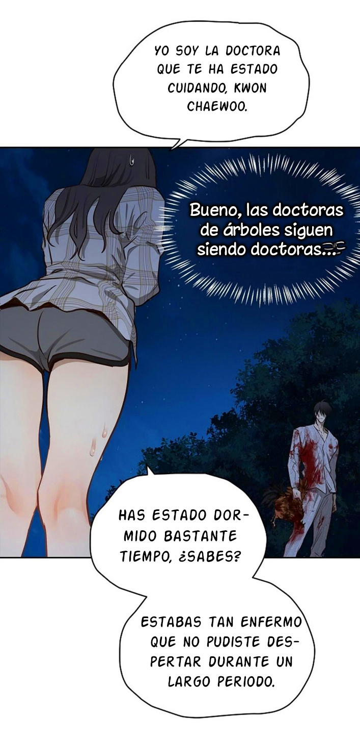 40 Las Flores son un Engaño