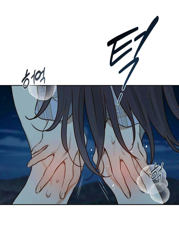 19 Las Flores son un Engaño