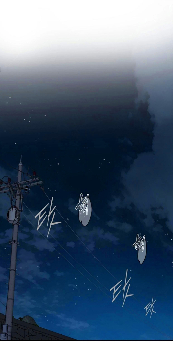 17 Las Flores son un Engaño