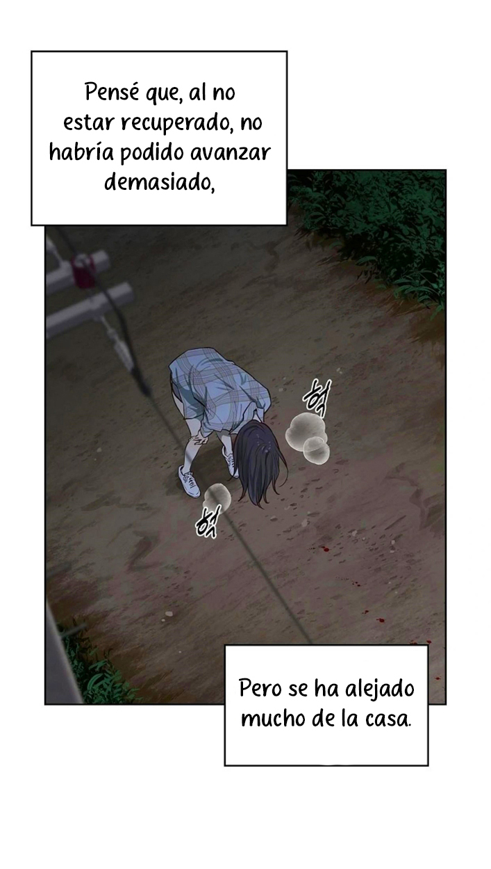 20 Las Flores son un Engaño