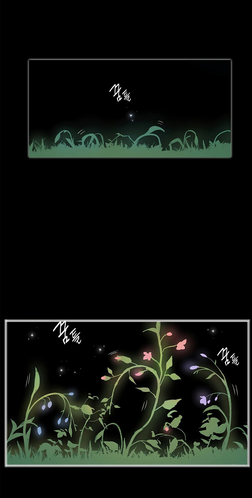 38 Las Flores son un Engaño