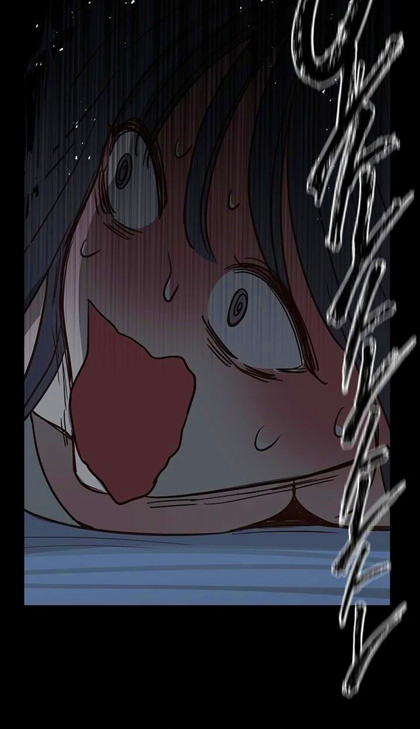 54 Las Flores son un Engaño