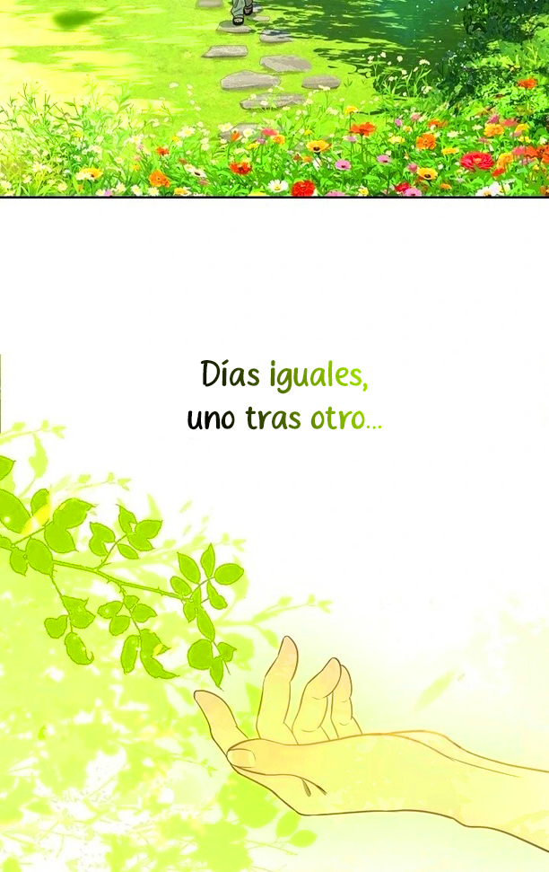 26 Las Flores son un Engaño