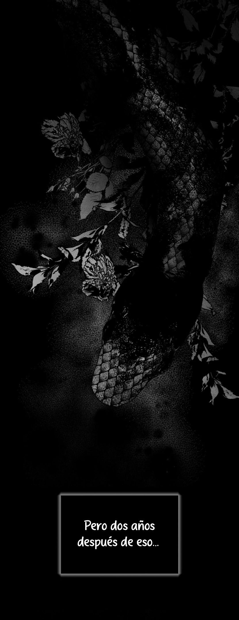 54 Las Flores son un Engaño