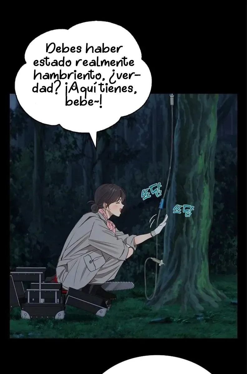 12 Las Flores son un Engaño