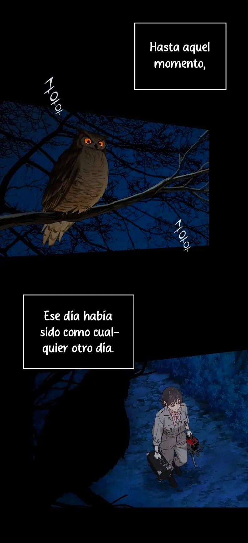 15 Las Flores son un Engaño