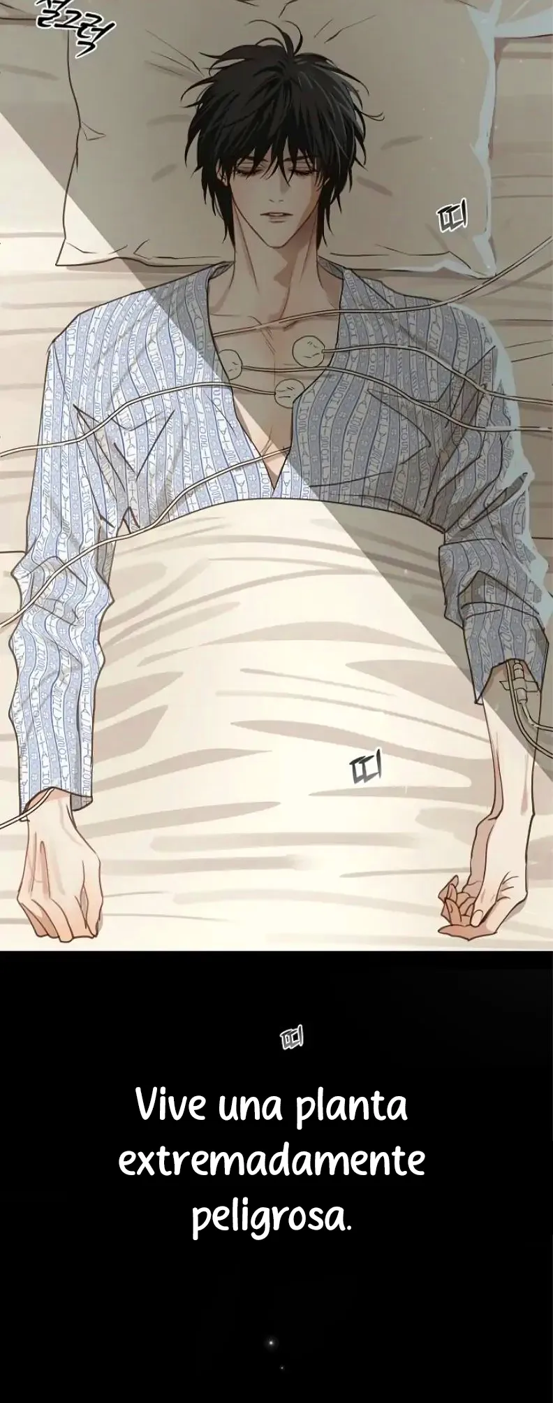 101 Las Flores son un Engaño