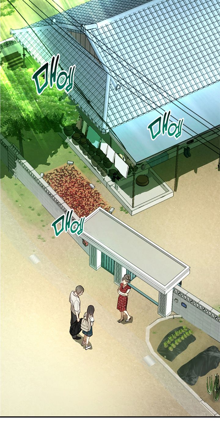 40 Las Flores son un Engaño