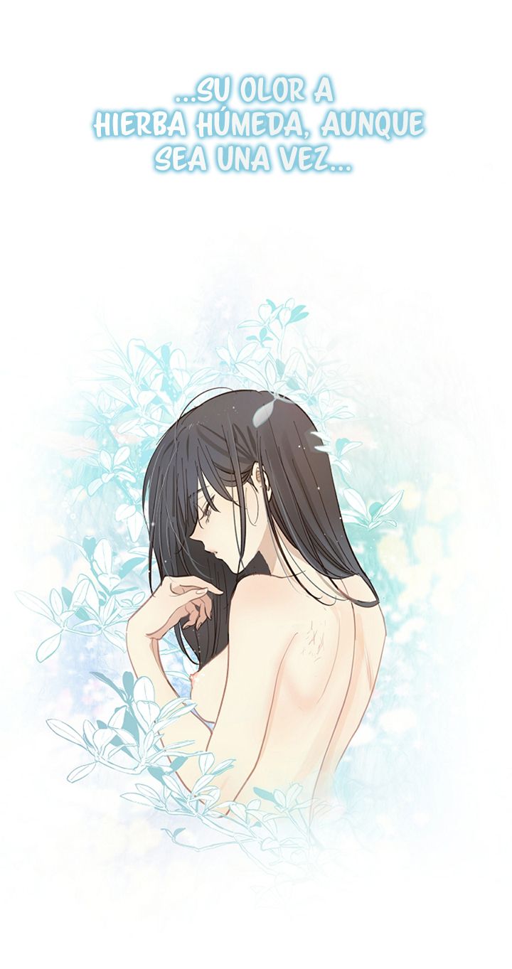 53 Las Flores son un Engaño