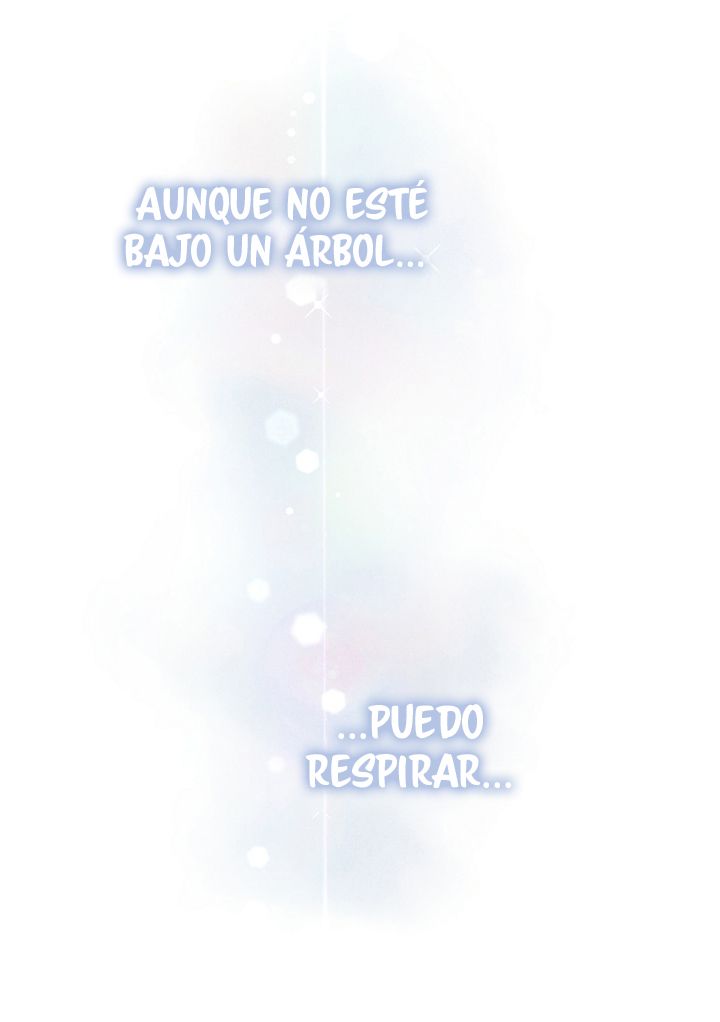 53 Las Flores son un Engaño