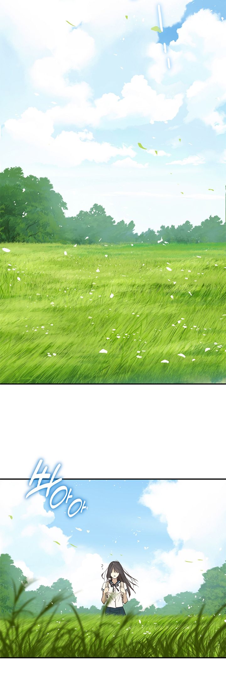 80 Las Flores son un Engaño