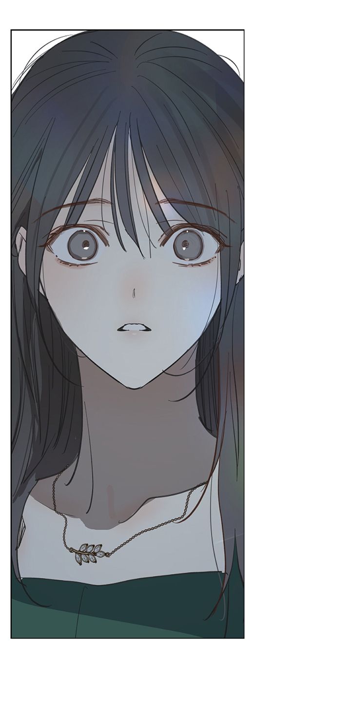 19 Las Flores son un Engaño