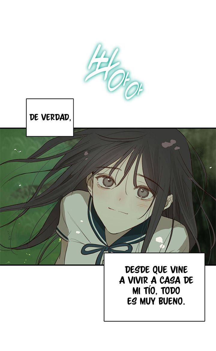 7 Las Flores son un Engaño