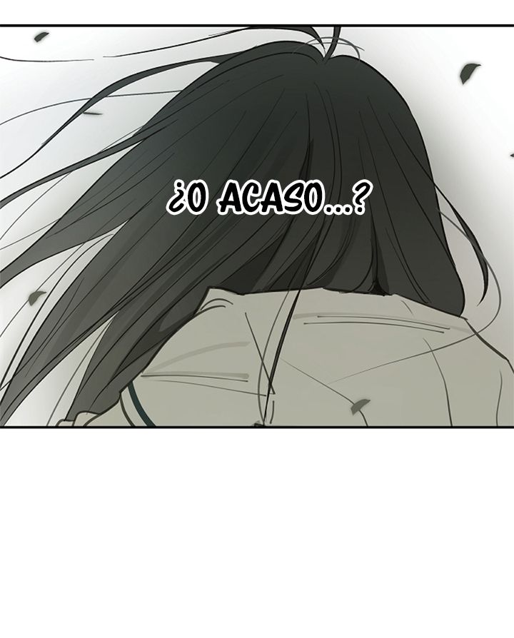 19 Las Flores son un Engaño